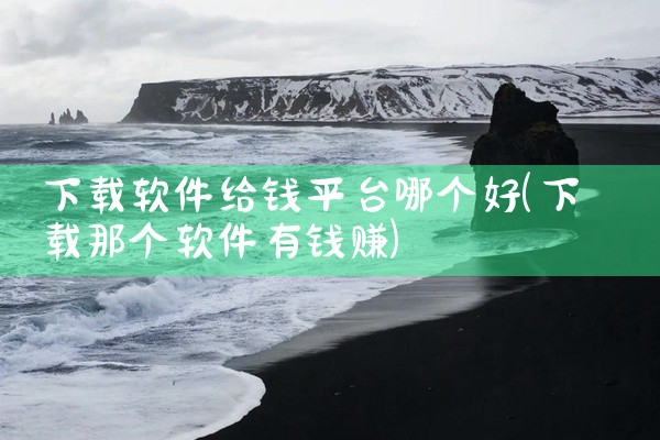 下载软件给钱平台哪个好