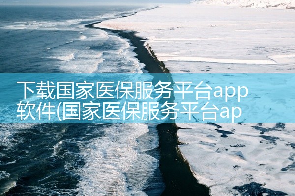 下载国家医保服务平台app软件