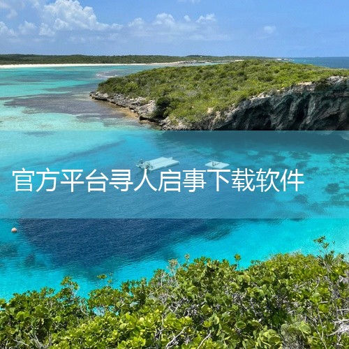 综合类官方寻人平台：依托官方资源联动，寻人可信度高，比如公安部推出的团圆回家小程序/官网，会同步各地走失人员的备案信息，还能对接警方救助站；宝贝回家寻子网是知名的民间公益寻人平台，有专业志愿者协助核实|
