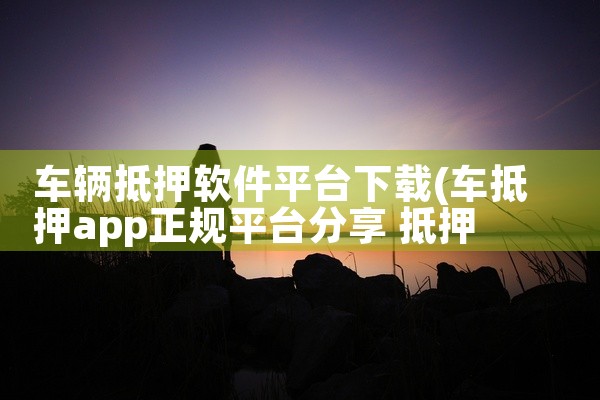 车辆抵押软件平台下载