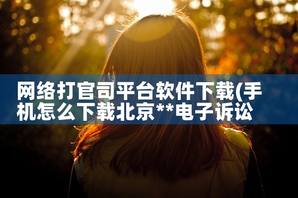 网络打官司平台软件下载
