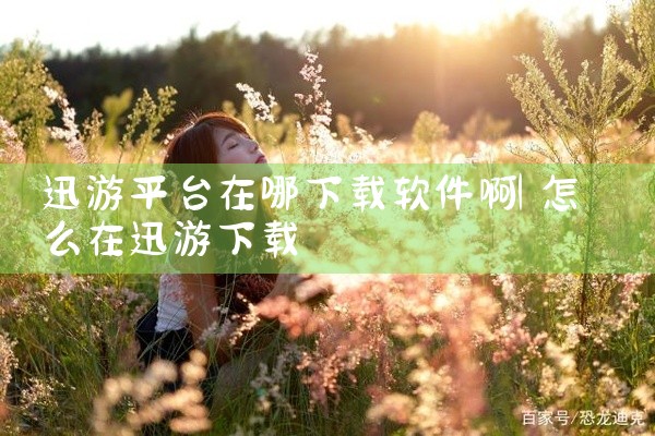 迅游平台在哪下载软件啊