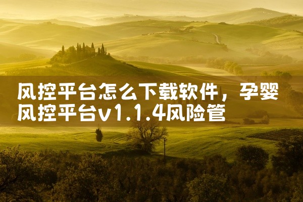 风控平台怎么下载软件