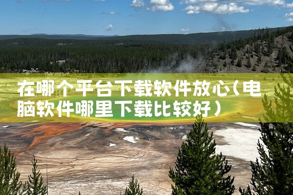在哪个平台下载软件放心