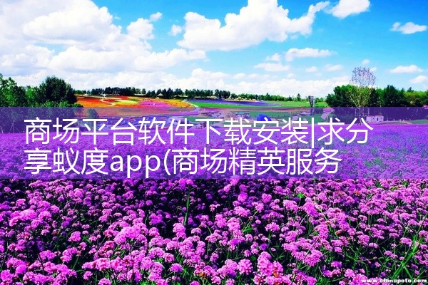 商场平台软件下载安装