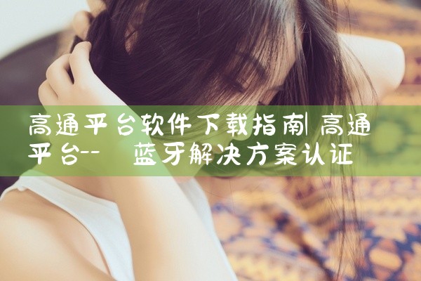 高通平台软件下载指南