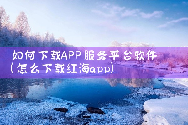 如何下载APP服务平台软件