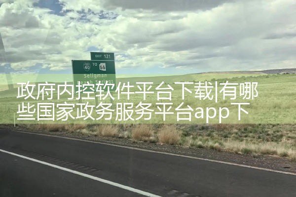 政府内控软件平台下载