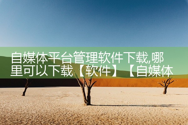 自媒体平台管理软件下载