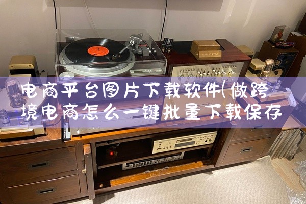 电商平台图片下载软件